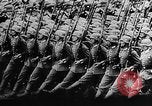 Standbild Adolf Hitler Europa, 1938, aus Sekunde 8 historischem Filmmaterial Videoclip 65675044316