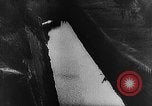 Image of German invasion of Netherlands Holland Netherlands, 1940, second 42 stock footage video 65675044319