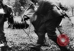 Image of British and French forces retreating under fire Belgium, 1940, second 43 stock footage video 65675044320