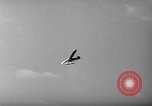 Image of miniature seaplane meet Miami Florida USA, 1940, second 53 stock footage video 65675044325