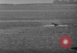 Image of miniature seaplane meet Miami Florida USA, 1940, second 57 stock footage video 65675044325