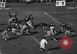 Image of Football match Miami Florida USA, 1940, second 53 stock footage video 65675044326