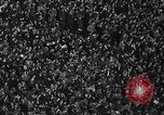 Standbild Sugar Bowl 1940 New Orleans Louisiana USA, 1940, aus Sekunde 44 historischem Filmmaterial Videoclip 65675044327