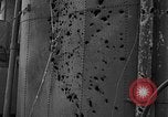 Image of Nazi Invasion Holland Netherlands, 1940, second 18 stock footage video 65675044329