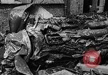 Image of Nazi Invasion Holland Netherlands, 1940, second 33 stock footage video 65675044329