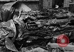 Image of Nazi Invasion Holland Netherlands, 1940, second 34 stock footage video 65675044329