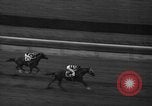 Standbild Vorort Handicap Belmont Park New York USA, 1940, aus Sekunde 47 historischem Filmmaterial Videoclip 65675044347