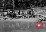 Immagine di Washington Park Zoo scimmie Milwaukee Wisconsin USA, 1933, secondo 14 filmato di repertorio 65675044356