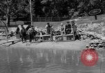 Immagine di Washington Park Zoo scimmie Milwaukee Wisconsin USA, 1933, secondo 15 filmato di repertorio 65675044356