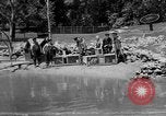 Immagine di Washington Park Zoo scimmie Milwaukee Wisconsin USA, 1933, secondo 16 filmato di repertorio 65675044356