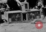 Immagine di Washington Park Zoo scimmie Milwaukee Wisconsin USA, 1933, secondo 17 filmato di repertorio 65675044356