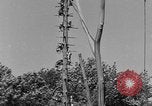 Immagine di Washington Park Zoo scimmie Milwaukee Wisconsin USA, 1933, secondo 26 filmato di repertorio 65675044356