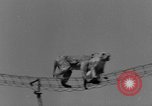 Immagine di Washington Park Zoo scimmie Milwaukee Wisconsin USA, 1933, secondo 31 filmato di repertorio 65675044356