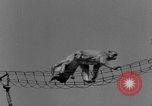 Immagine di Washington Park Zoo scimmie Milwaukee Wisconsin USA, 1933, secondo 32 filmato di repertorio 65675044356
