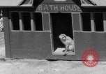 Immagine di Washington Park Zoo scimmie Milwaukee Wisconsin USA, 1933, secondo 48 filmato di repertorio 65675044356