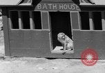 Immagine di Washington Park Zoo scimmie Milwaukee Wisconsin USA, 1933, secondo 49 filmato di repertorio 65675044356