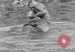 Immagine di Washington Park Zoo scimmie Milwaukee Wisconsin USA, 1933, secondo 51 filmato di repertorio 65675044356