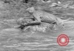 Immagine di Washington Park Zoo scimmie Milwaukee Wisconsin USA, 1933, secondo 52 filmato di repertorio 65675044356