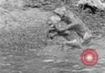 Immagine di Washington Park Zoo scimmie Milwaukee Wisconsin USA, 1933, secondo 53 filmato di repertorio 65675044356
