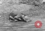 Immagine di Washington Park Zoo scimmie Milwaukee Wisconsin USA, 1933, secondo 59 filmato di repertorio 65675044356