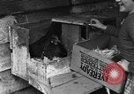 Standbild Henne mit Kätzchen Lepanto Arkansas USA, 1934, aus Sekunde 27 historischem Filmmaterial Videoclip 65675044370