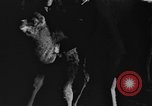 Standbild Circus in New York City New York City USA, 1934, aus Sekunde 30 historischem Filmmaterial Videoclip 65675044372