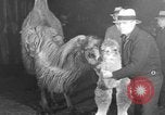 Standbild Circus in New York City New York City USA, 1934, aus Sekunde 36 historischem Filmmaterial Videoclip 65675044372