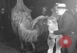 Standbild Circus in New York City New York City USA, 1934, aus Sekunde 37 historischem Filmmaterial Videoclip 65675044372