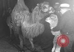 Standbild Circus in New York City New York City USA, 1934, aus Sekunde 38 historischem Filmmaterial Videoclip 65675044372