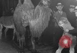 Standbild Circus in New York City New York City USA, 1934, aus Sekunde 39 historischem Filmmaterial Videoclip 65675044372