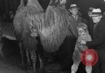 Standbild Circus in New York City New York City USA, 1934, aus Sekunde 40 historischem Filmmaterial Videoclip 65675044372