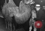 Standbild Circus in New York City New York City USA, 1934, aus Sekunde 41 historischem Filmmaterial Videoclip 65675044372