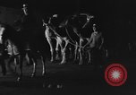 Standbild Circus in New York City New York City USA, 1934, aus Sekunde 50 historischem Filmmaterial Videoclip 65675044372