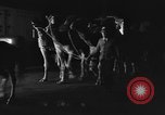 Standbild Circus in New York City New York City USA, 1934, aus Sekunde 51 historischem Filmmaterial Videoclip 65675044372