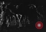 Standbild Circus in New York City New York City USA, 1934, aus Sekunde 53 historischem Filmmaterial Videoclip 65675044372