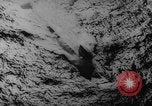 Standbild Atomtests Pazifik, 1962, aus Sekunde 23 historischem Filmmaterial Videoclip 65675044374