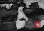Standbild deutscher Zoo Deutschland, 1962, aus Sekunde 4 historischem Filmmaterial Videoclip 65675044377