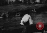Standbild deutscher Zoo Deutschland, 1962, aus Sekunde 6 historischem Filmmaterial Videoclip 65675044377