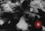 Standbild deutscher Zoo Deutschland, 1962, aus Sekunde 8 historischem Filmmaterial Videoclip 65675044377