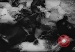 Standbild deutscher Zoo Deutschland, 1962, aus Sekunde 9 historischem Filmmaterial Videoclip 65675044377