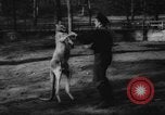 Standbild deutscher Zoo Deutschland, 1962, aus Sekunde 16 historischem Filmmaterial Videoclip 65675044377