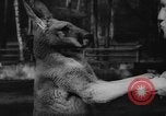 Standbild deutscher Zoo Deutschland, 1962, aus Sekunde 17 historischem Filmmaterial Videoclip 65675044377