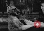 Standbild deutscher Zoo Deutschland, 1962, aus Sekunde 18 historischem Filmmaterial Videoclip 65675044377