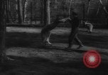 Standbild deutscher Zoo Deutschland, 1962, aus Sekunde 19 historischem Filmmaterial Videoclip 65675044377