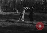 Standbild deutscher Zoo Deutschland, 1962, aus Sekunde 21 historischem Filmmaterial Videoclip 65675044377