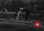 Standbild deutscher Zoo Deutschland, 1962, aus Sekunde 22 historischem Filmmaterial Videoclip 65675044377