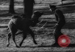 Standbild deutscher Zoo Deutschland, 1962, aus Sekunde 23 historischem Filmmaterial Videoclip 65675044377