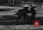 Standbild deutscher Zoo Deutschland, 1962, aus Sekunde 27 historischem Filmmaterial Videoclip 65675044377