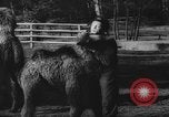 Standbild deutscher Zoo Deutschland, 1962, aus Sekunde 30 historischem Filmmaterial Videoclip 65675044377