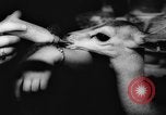 Standbild deutscher Zoo Deutschland, 1962, aus Sekunde 49 historischem Filmmaterial Videoclip 65675044377